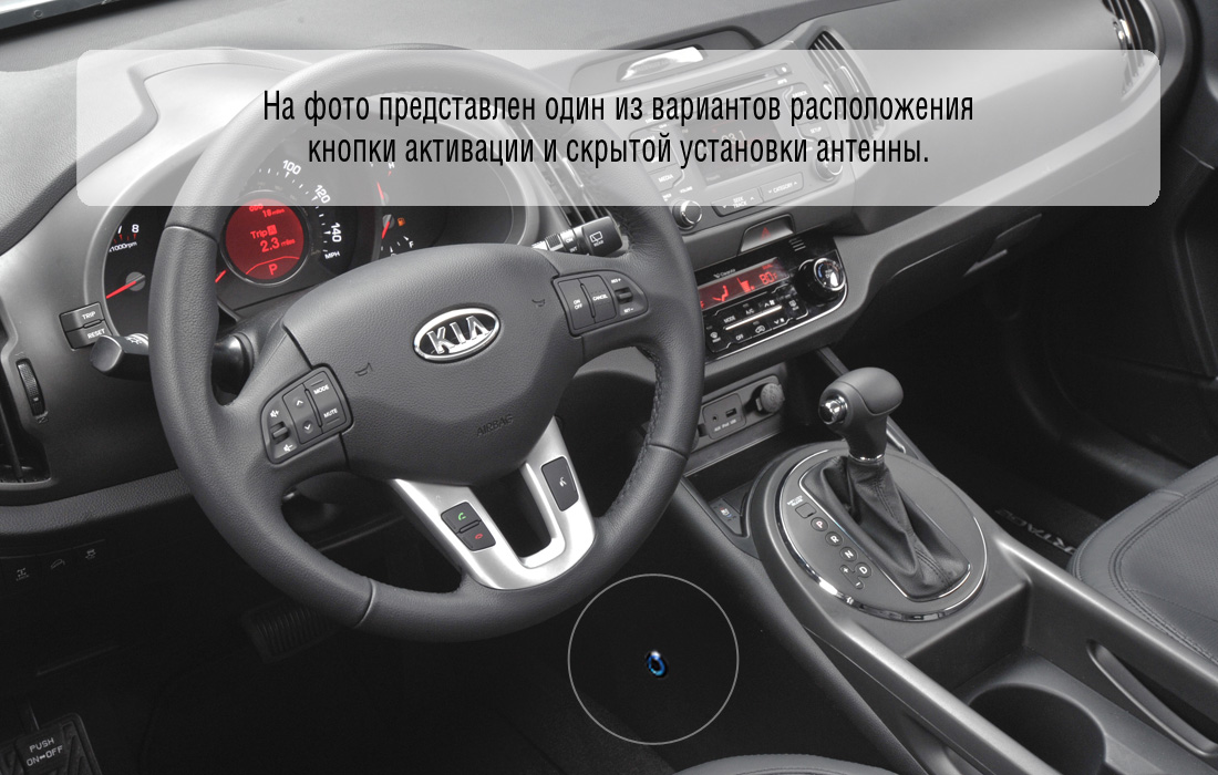 Гарант Консул 22011.L~*P