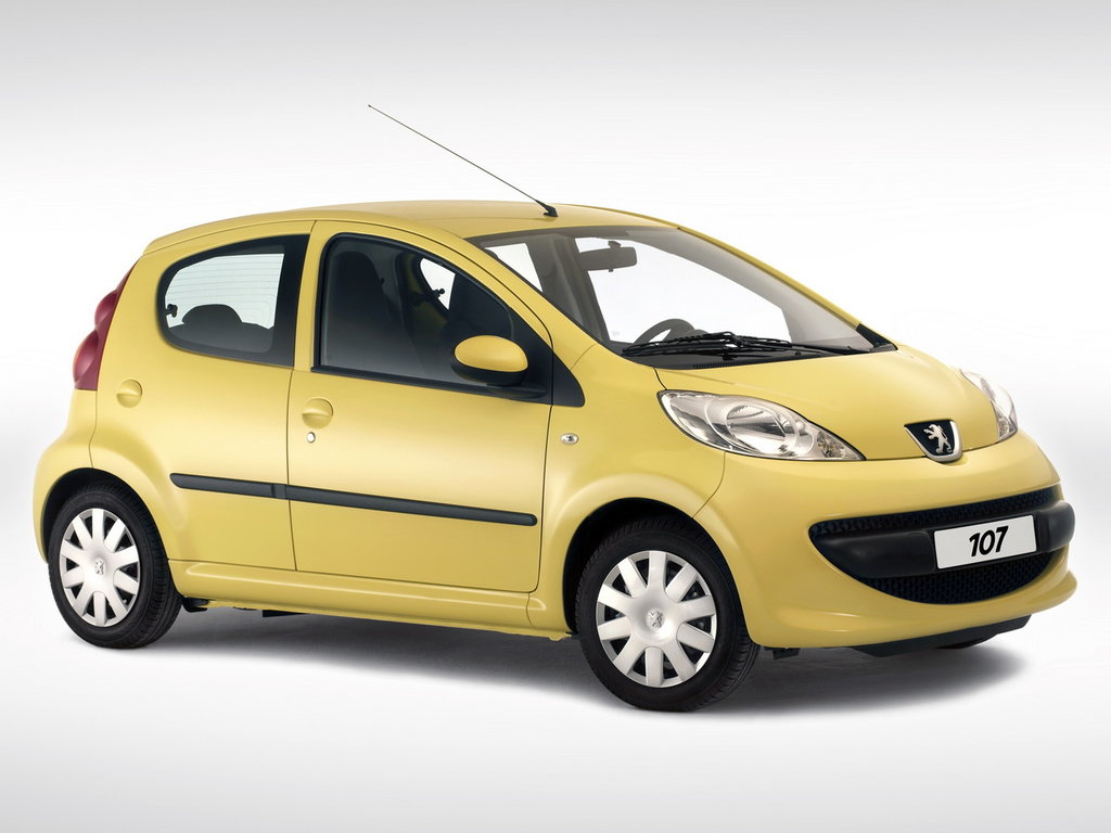 GARANT BLOK PRO - PEUGEOT 107 2007 - 2009