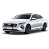 Гарант Блок Люкс 396.X/f~LX33 - GEELY PREFACE 2024